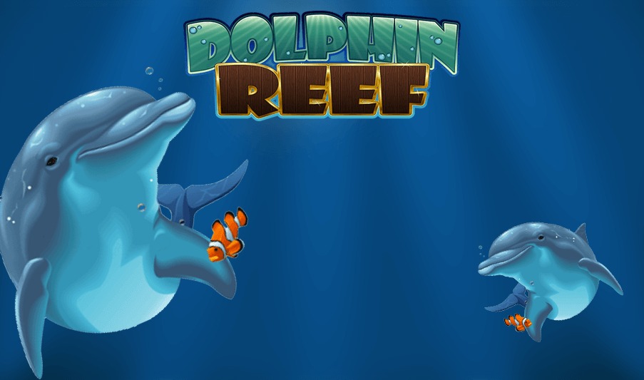 Dolphin Reef Slot คืออะไร