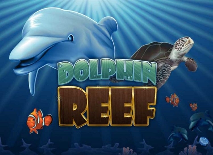 ข้อควรระวังการเล่น Dolphin Reef Slot
