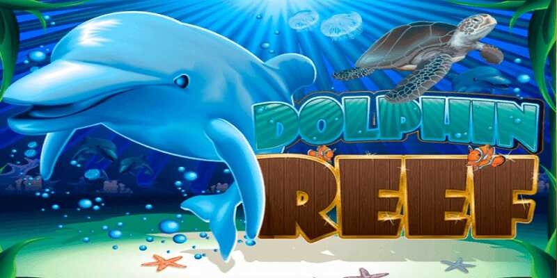 คู่มือการเล่น Dolphin Reef Slot
