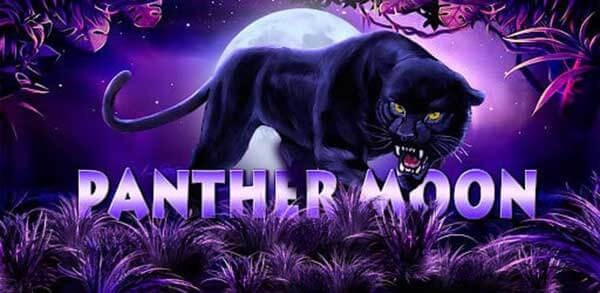 จุดเด่นของ สล็อตเว็บ Panther Moon Slot